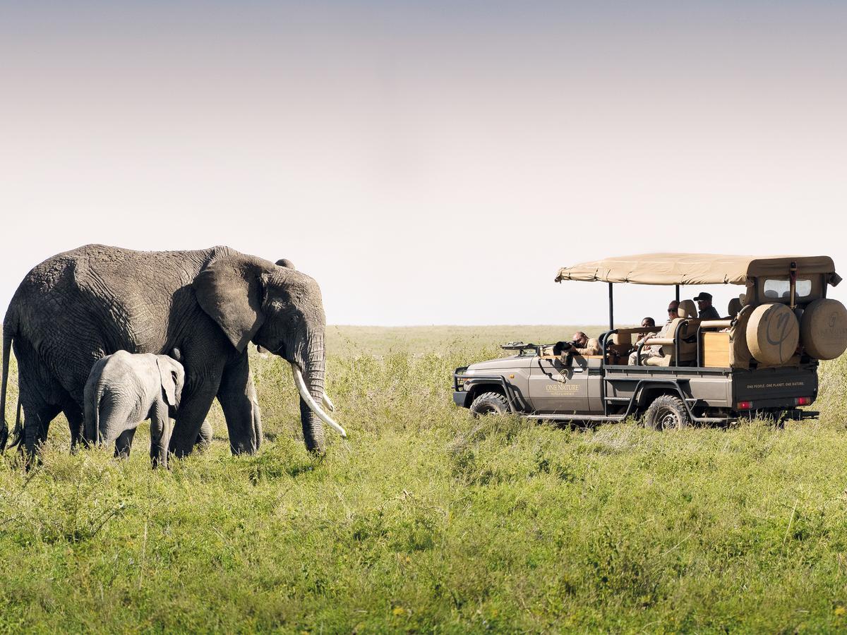 One Nature Nyaruswiga Serengeti Banagi Luaran gambar