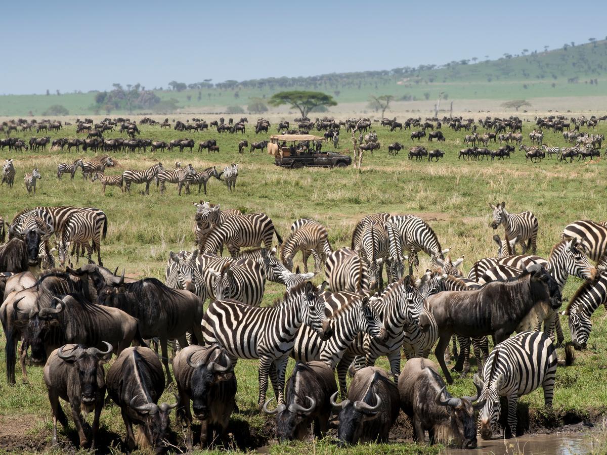 One Nature Nyaruswiga Serengeti Banagi Luaran gambar