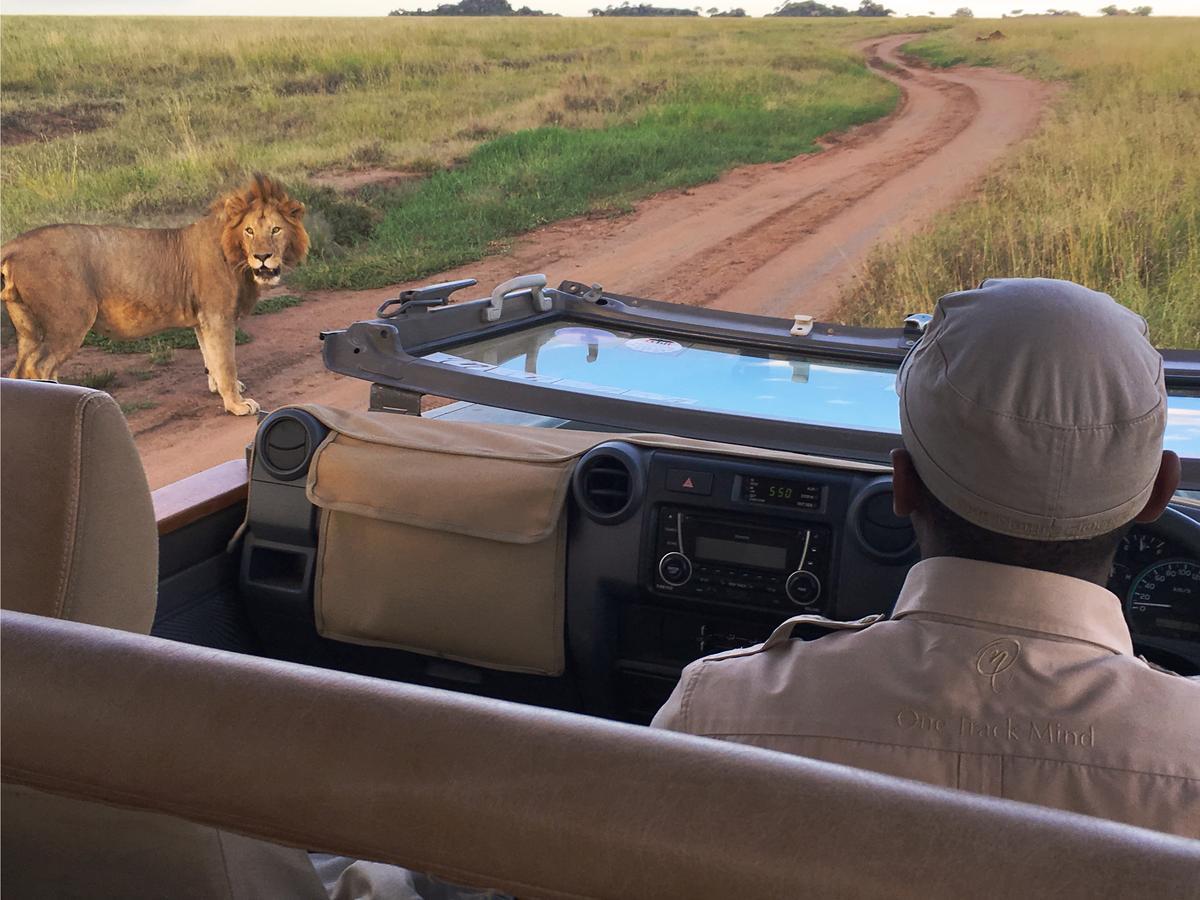 One Nature Nyaruswiga Serengeti Banagi Luaran gambar
