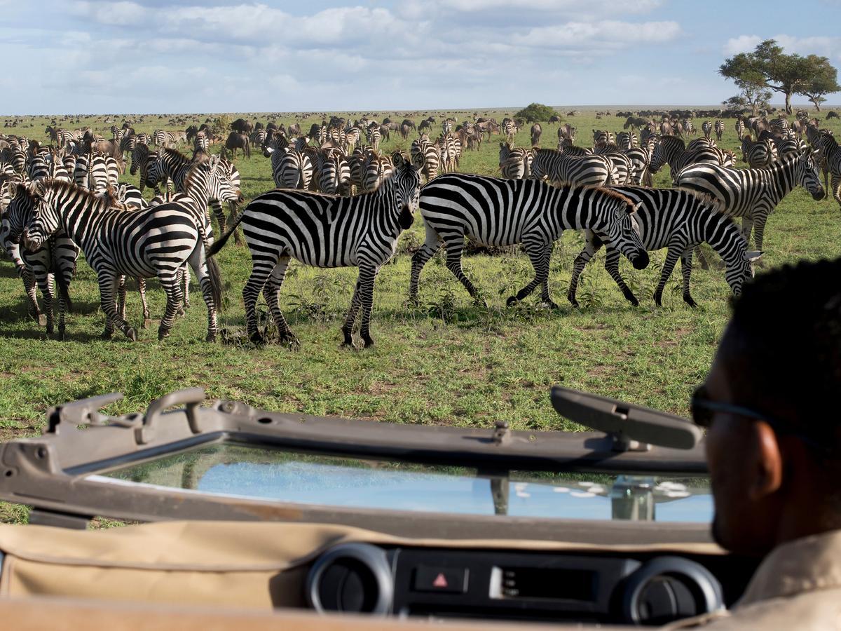 One Nature Nyaruswiga Serengeti Banagi Luaran gambar